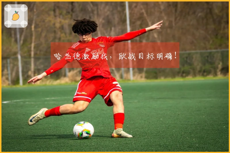 哈兰德激励我，欧战目标明确！