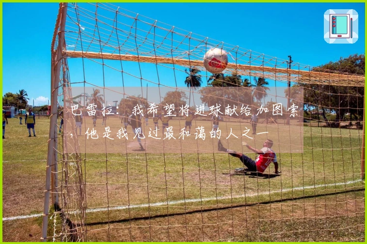巴雷拉：我希望将进球献给加图索，他是我见过最和蔼的人之一